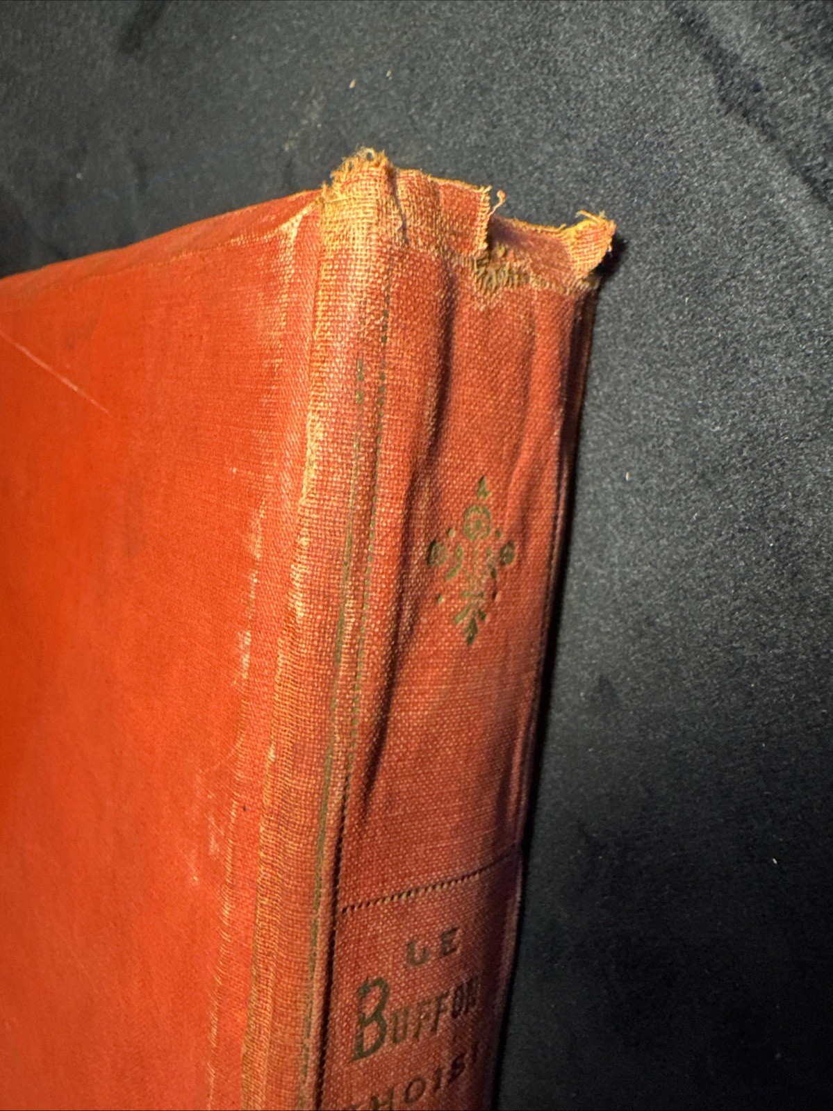 Vintage Hardcover Le Buffon Choisi Benjamin 1924 French Book Paris