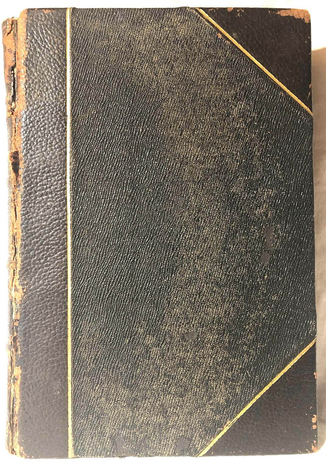Samuel Frye Walker – The Ruins Revisited – 1st 1887 – Mound-Builders, Mormonism