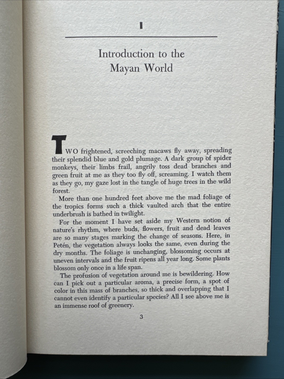 MAYAN ENIGMA : The Search For A Lost Civilization 1971 Pierre Ivanoff
