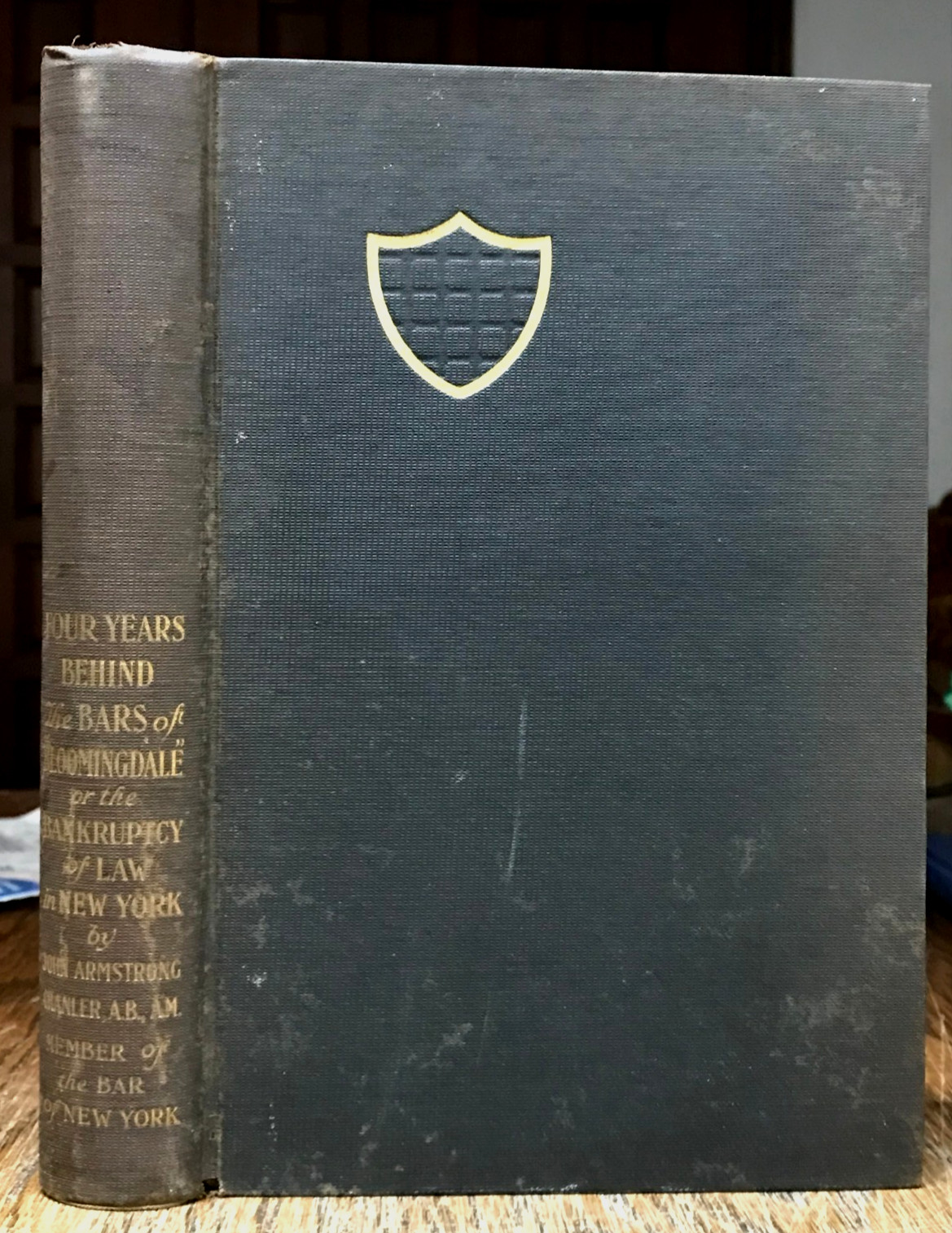 1906 Four Years Behind The Bars Of Bloomingdale Insane Asylum N.Y. Court Case