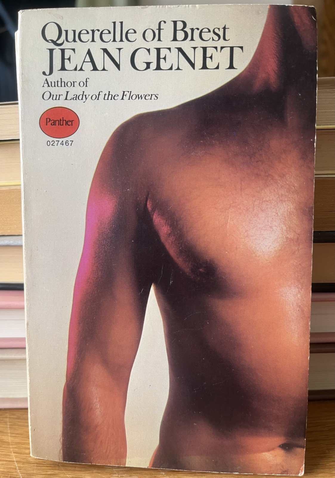 Querelle of Brest by Jean Genet – 1st Panther edition 1969 – Gay Interest Novel