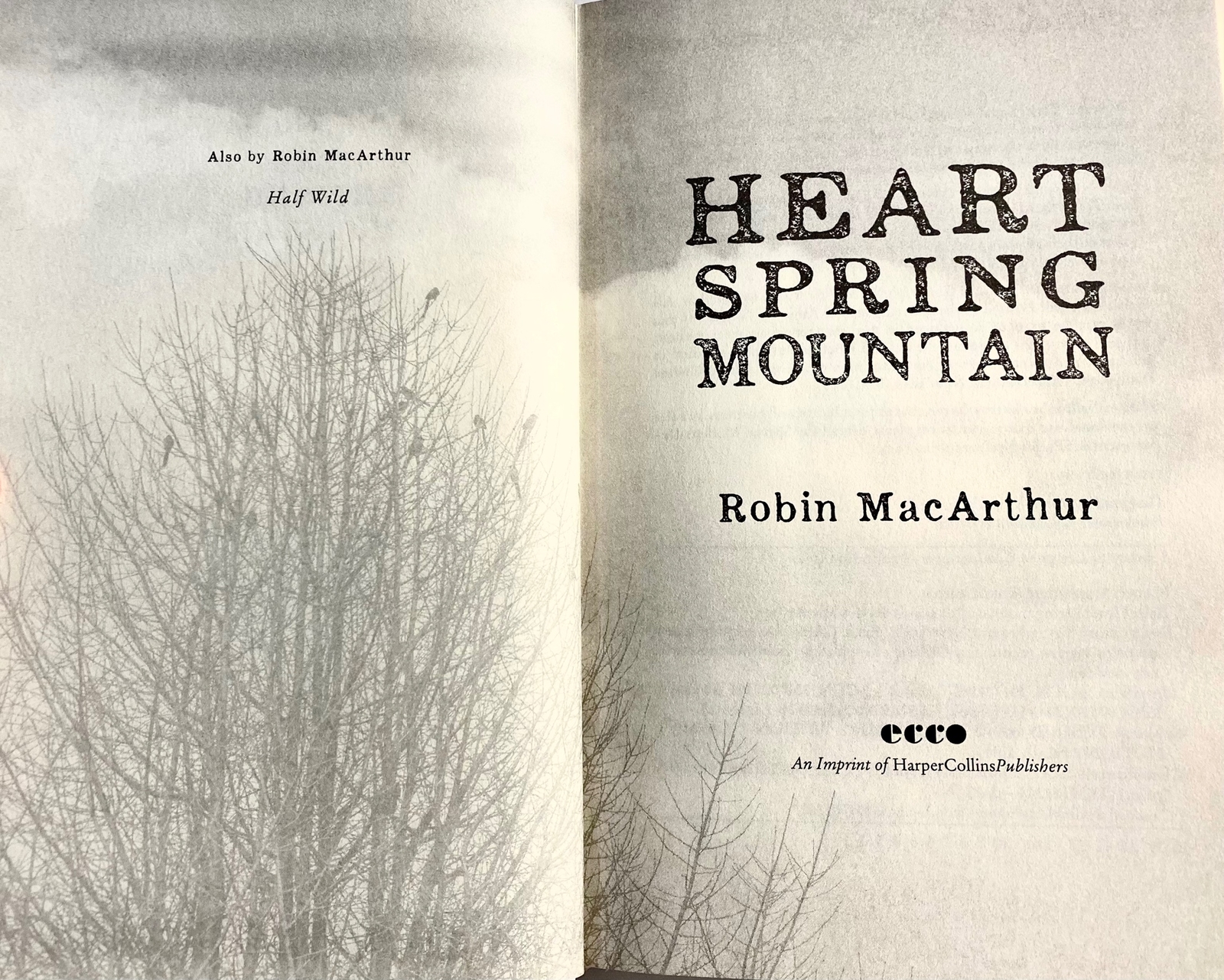 HEART SPRING MOUNTAIN. Robin MacArthur 2018 NEW 1st + dj 1st novel. Vermont