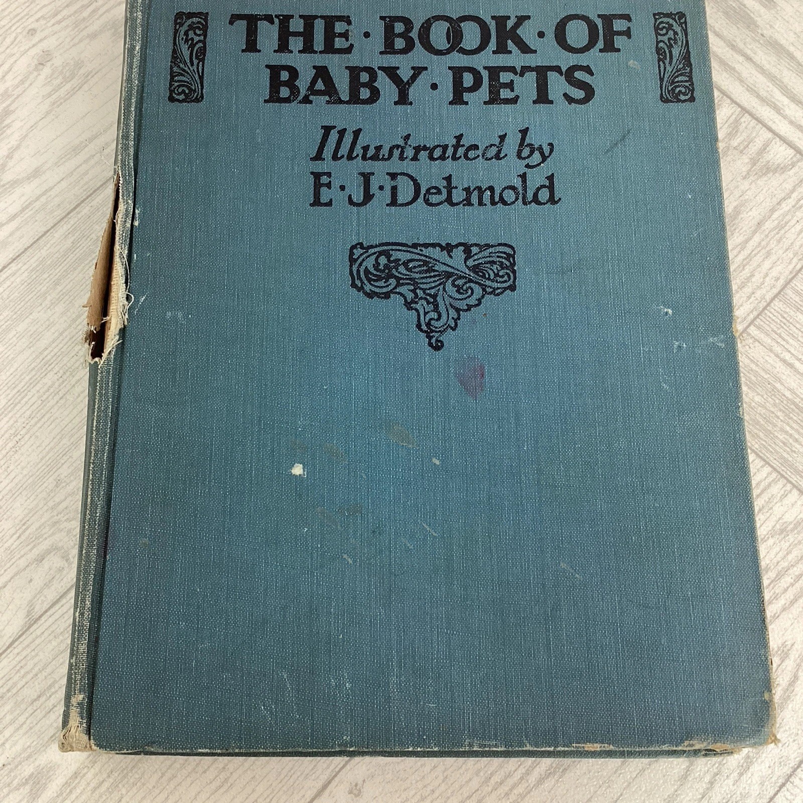 The Book Of Baby Pets, Dugdale Illustrated E J Detmold, Children’s book *B