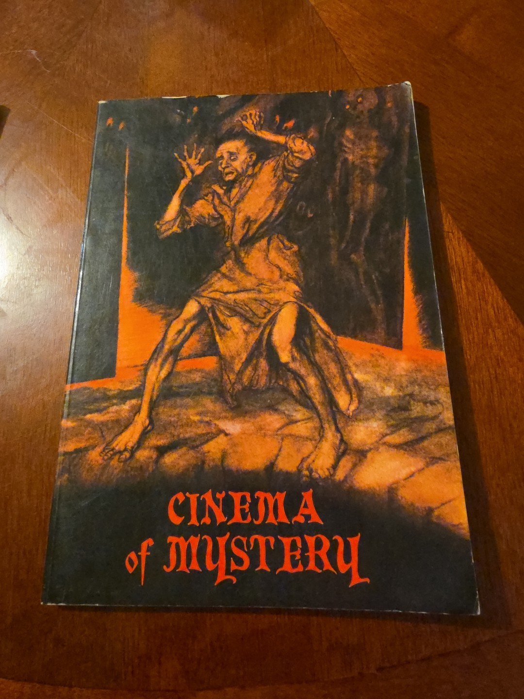1975 Cinema Of Mystery Book by Rose London Edgar Allen Poe / Silver Screen