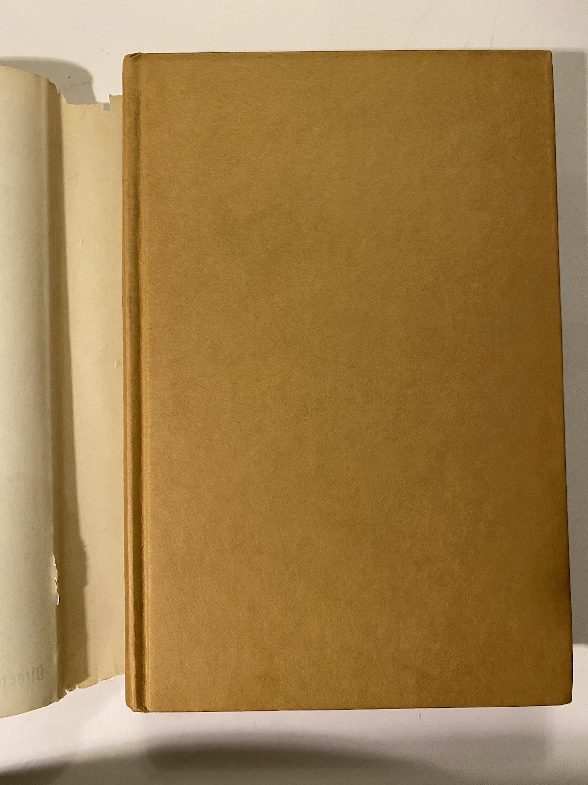 Edgar Cayce on Reincarnation Psychic Prophecy Occult 1967 First Edition