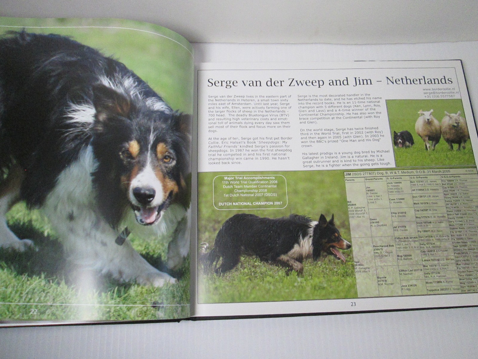 The World of Sheepdogs Photographic Tribute Angie Driscoll Sheep Dogs Kinloch UK