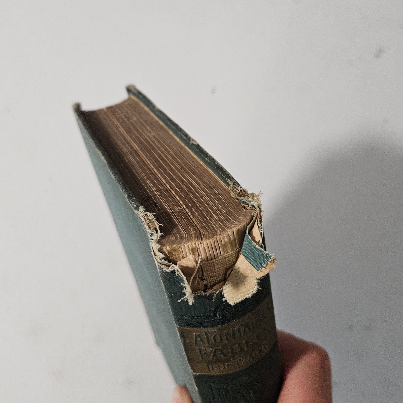 La Fontaine’s Fables With Illustrations J. J. Grandville 1889 HC Worthington…