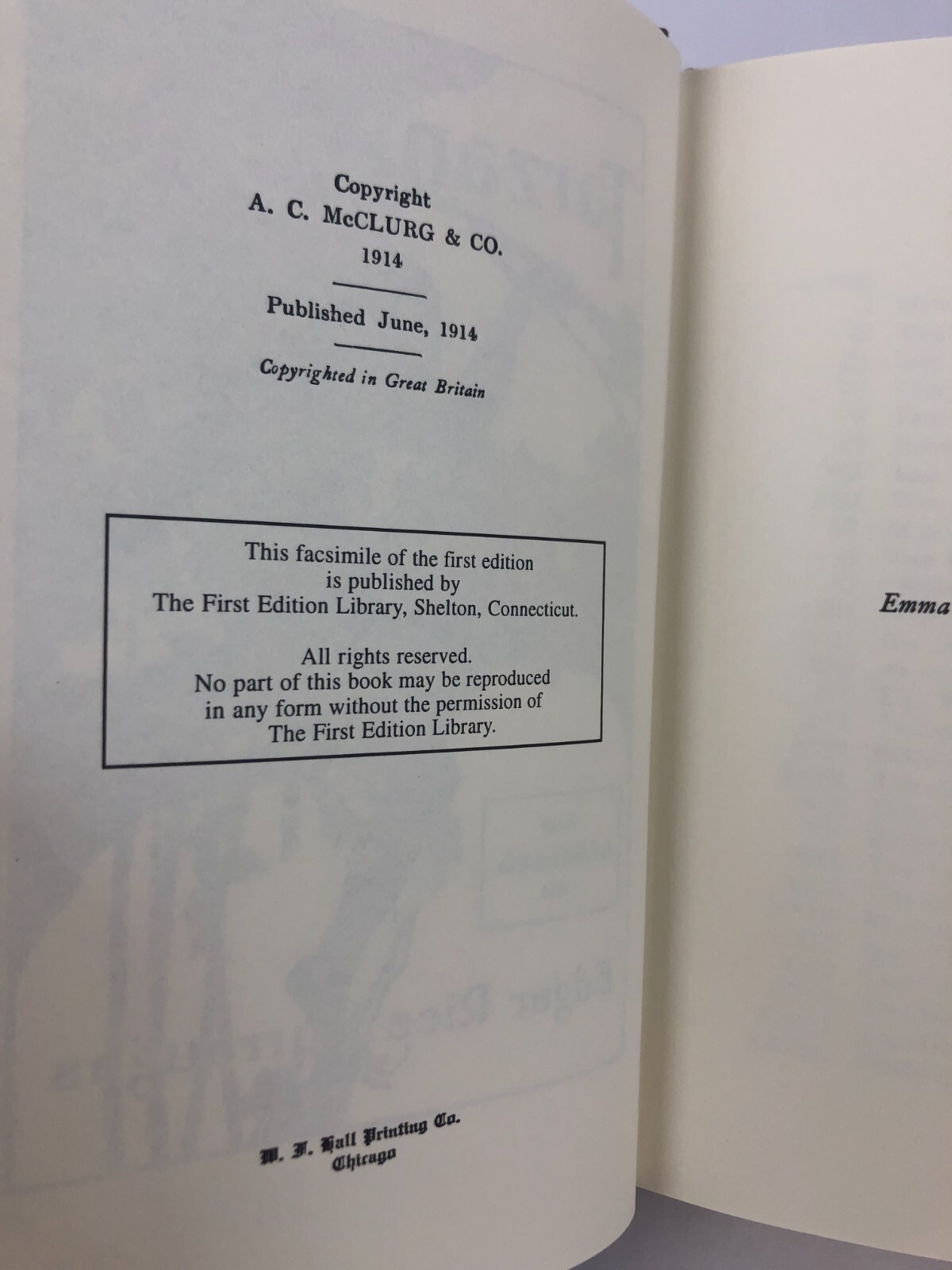 Tarzan Of The Apes Edgar Rice Burroughs First Edition Library Facsimile *no case