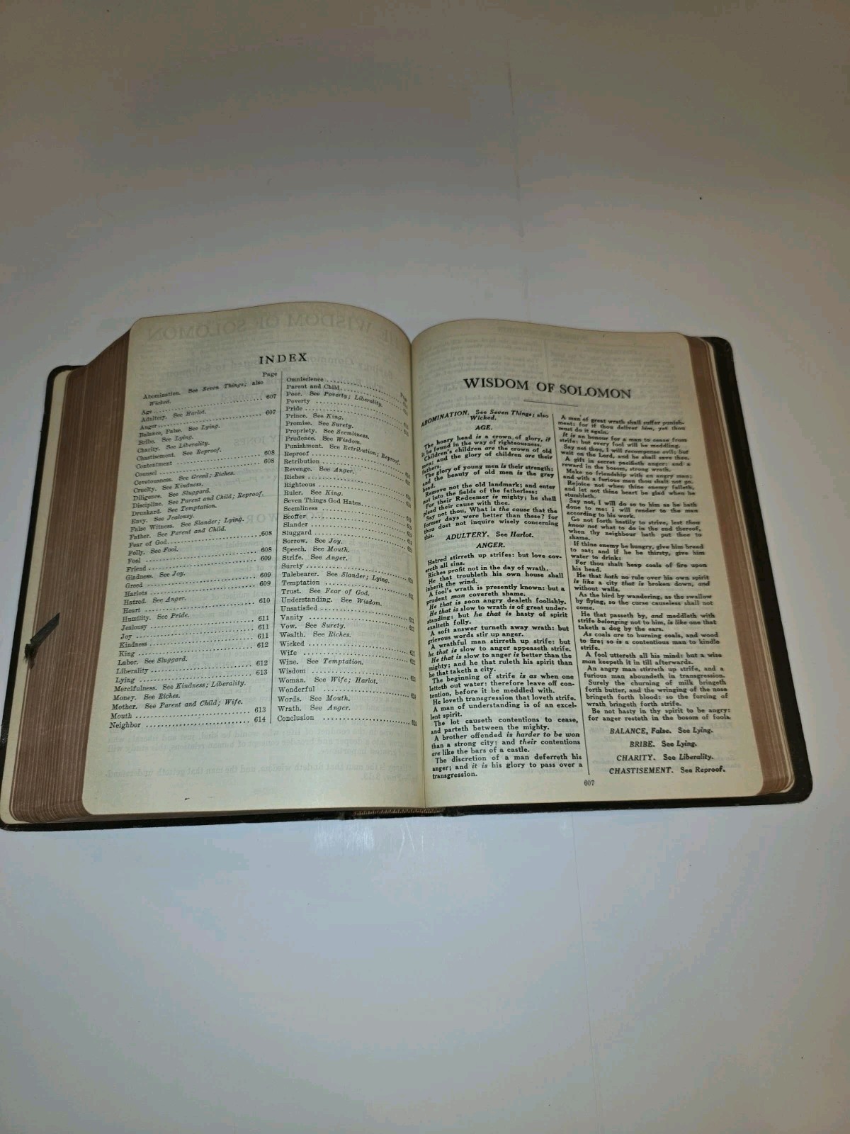 The System Bible Study Revised And Enlarged Leather Bound Study Bible 1938