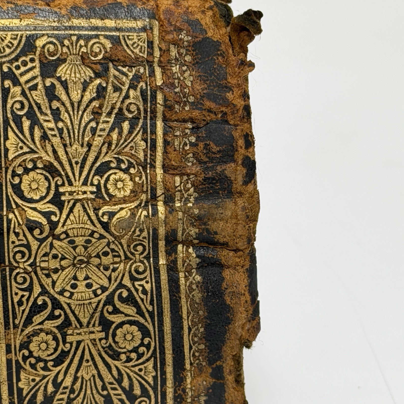 Antique 1895 Leather Bound Combination Edition Old & New Testament Family Bible
