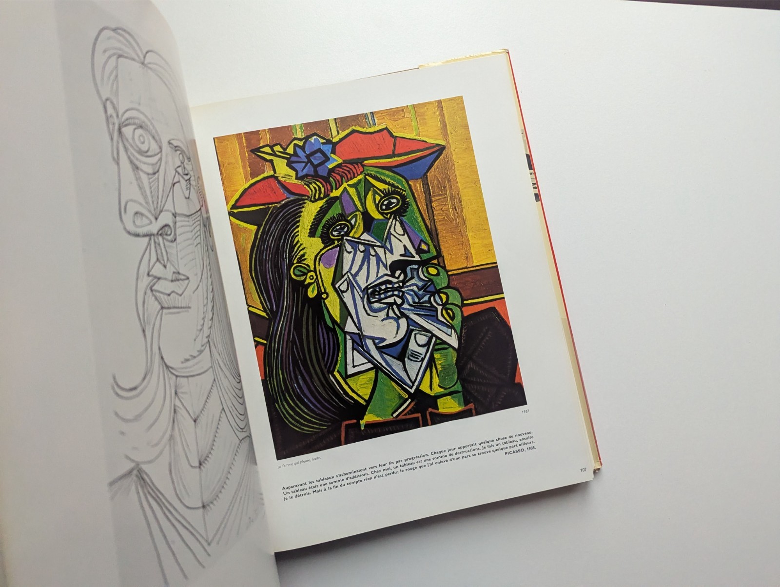 Picasso Métamorphoses et Unité Leymarie Art History Modern Art Book 1971