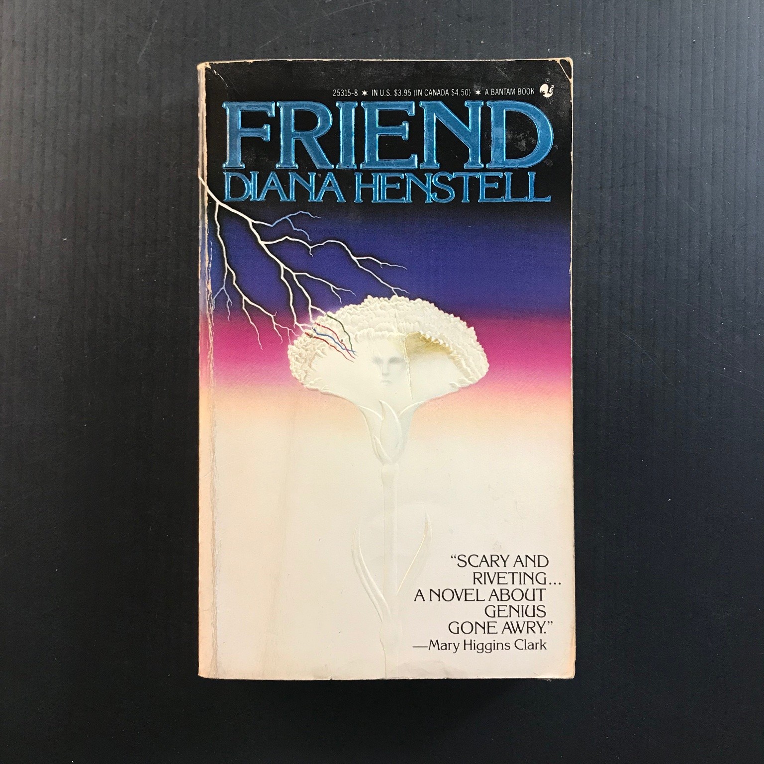 FRIEND Diana Henstell 1985 First Printing Horror Thriller Novel