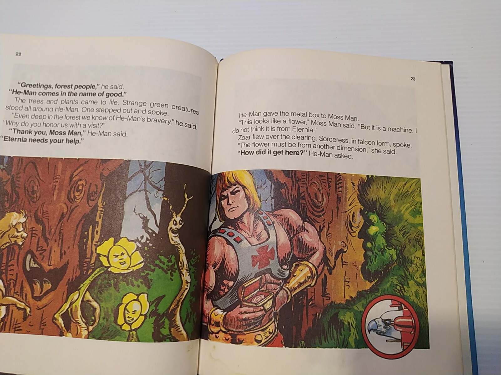 Vintage 80’s Masters of The Universe Skeletor’s Flower of Power 1985 Golden Book