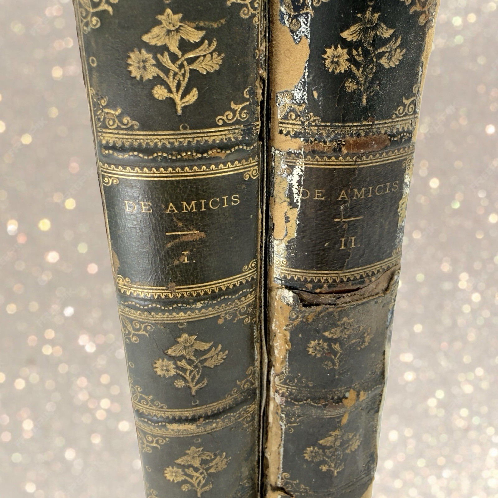 1ST ED 1894 2Vol ? Holland by Edmondo De Amicis Victorian Leather Antique Books