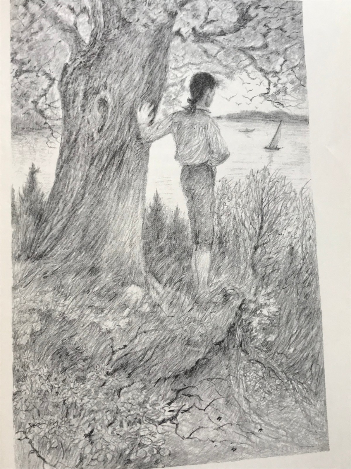 SIGNED by Marguerite De Angeli, JARED’S ISLAND 1947 1st Edition VGC