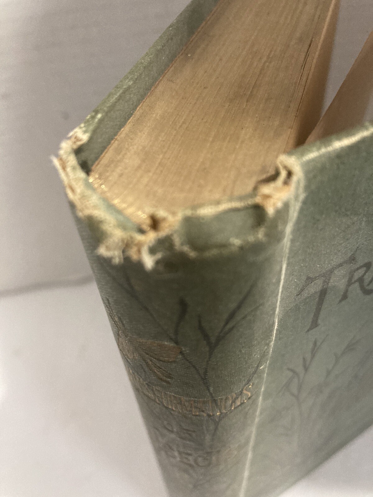 Transformations Of Insects By Duncan 1882 HC Book Numerous B/W Plates Bug 531pg