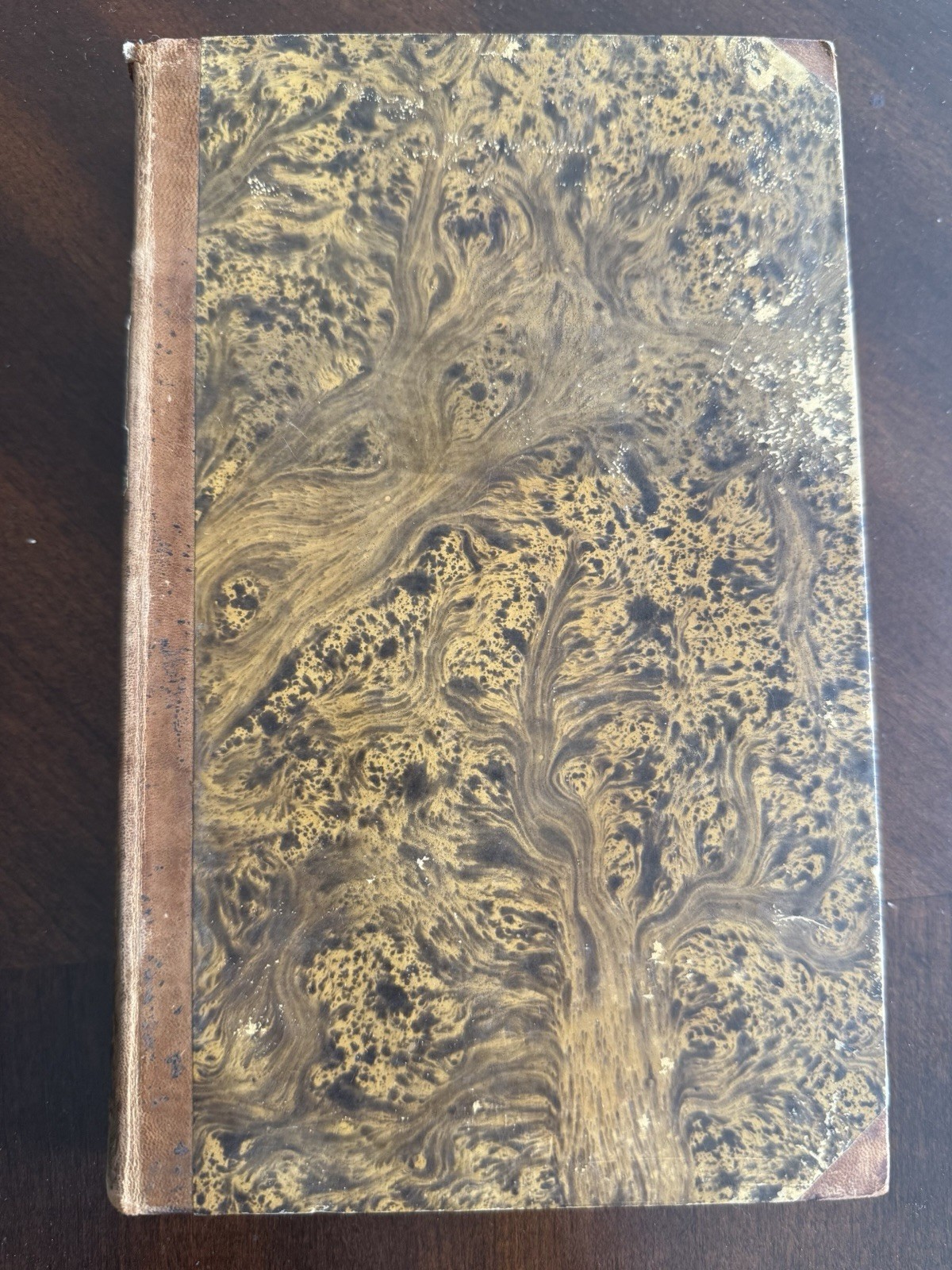 1838 Hebrew Latin Bible Commentary Scholar Psalms Grammar Theology New Testament