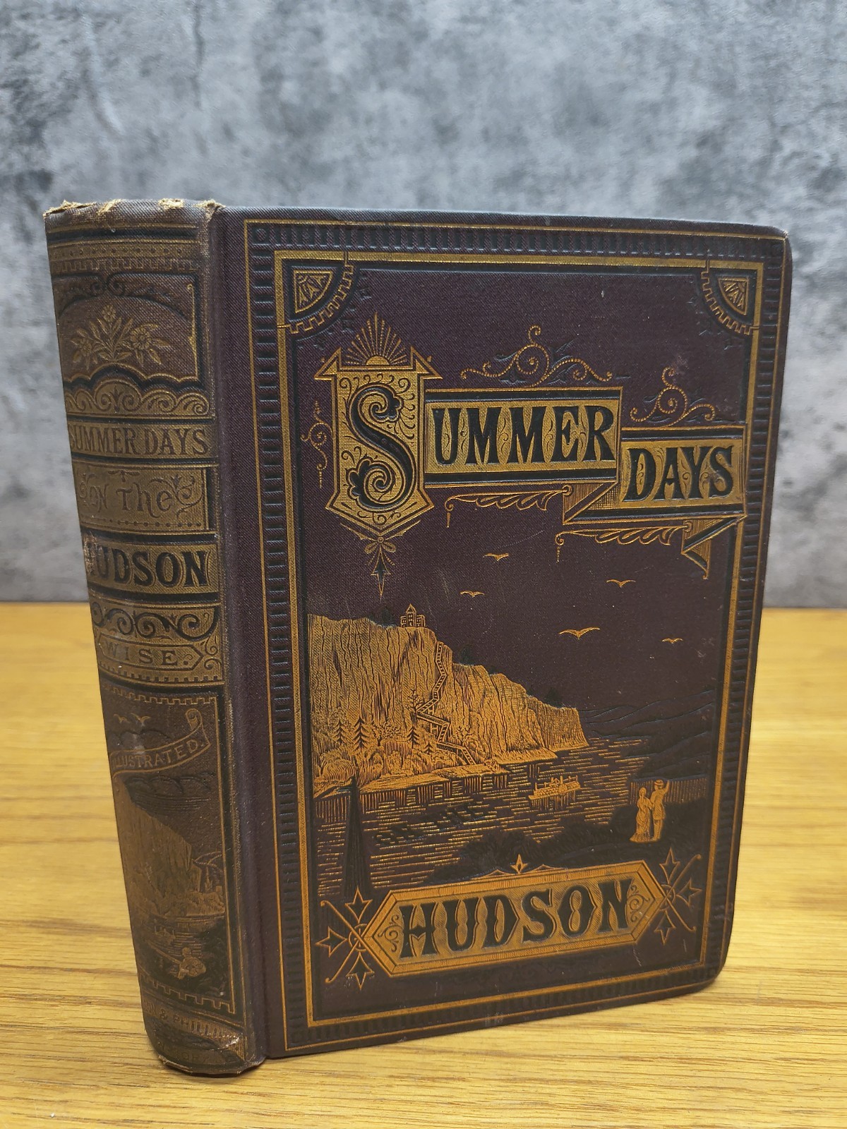 Summer Days On The Hudson by Daniel Wise, The story of a pleasure tour 1875