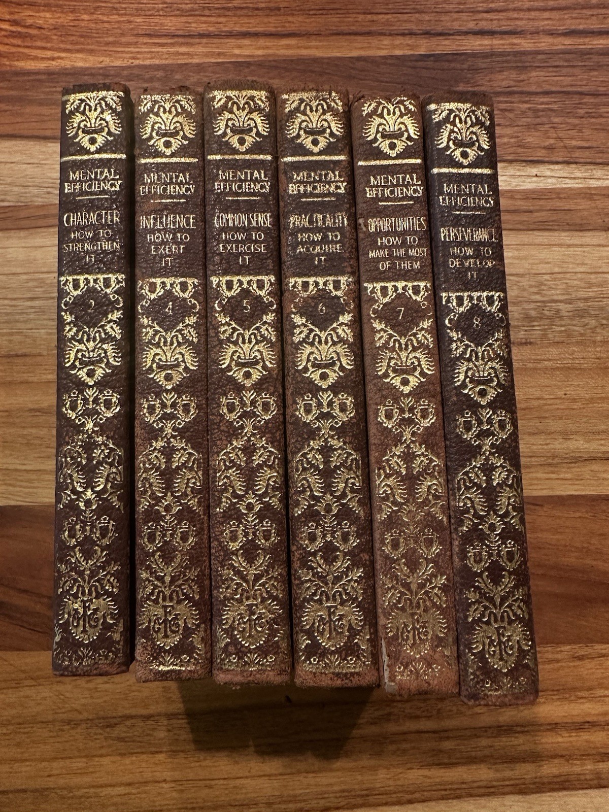 Mental Efficiency Series 1916 Partial Lot Volume Set Antique Vintage Leather