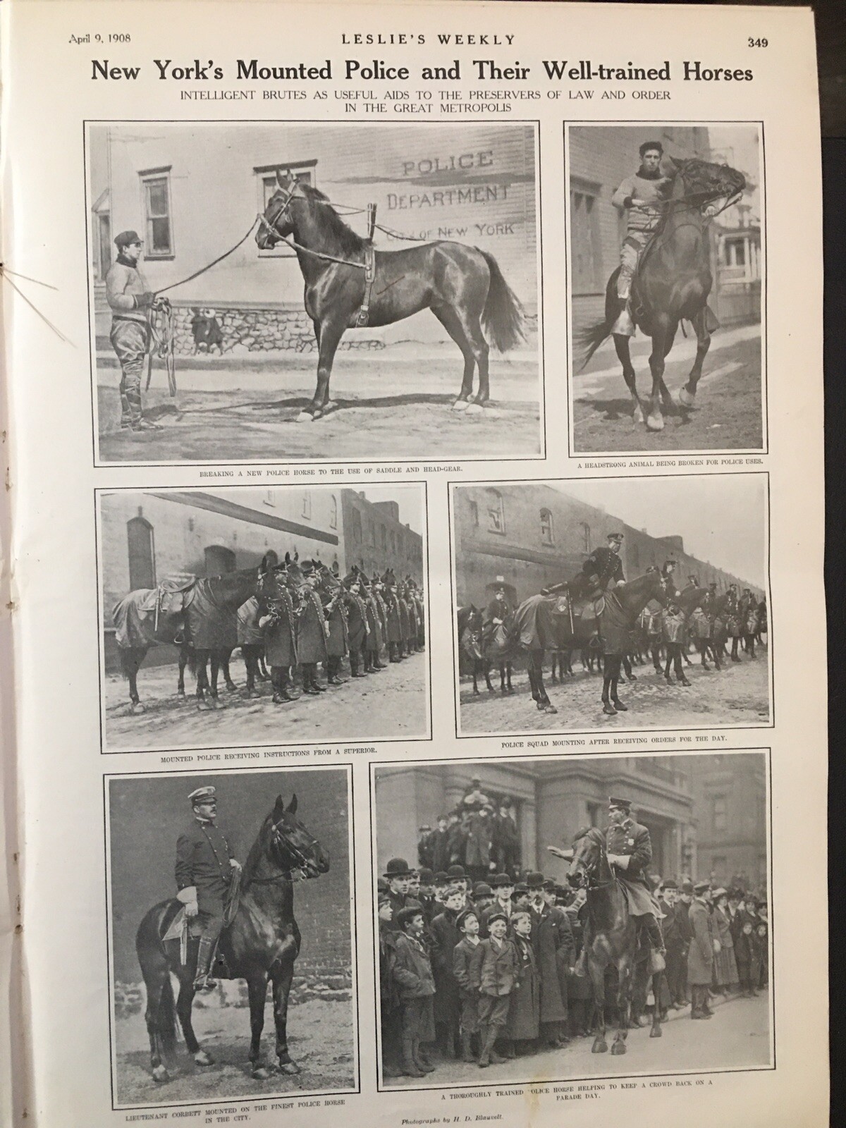 Albany ?NY State Capitol Most Expensive 1908 Circus Clowns-Mounted Police NYPD