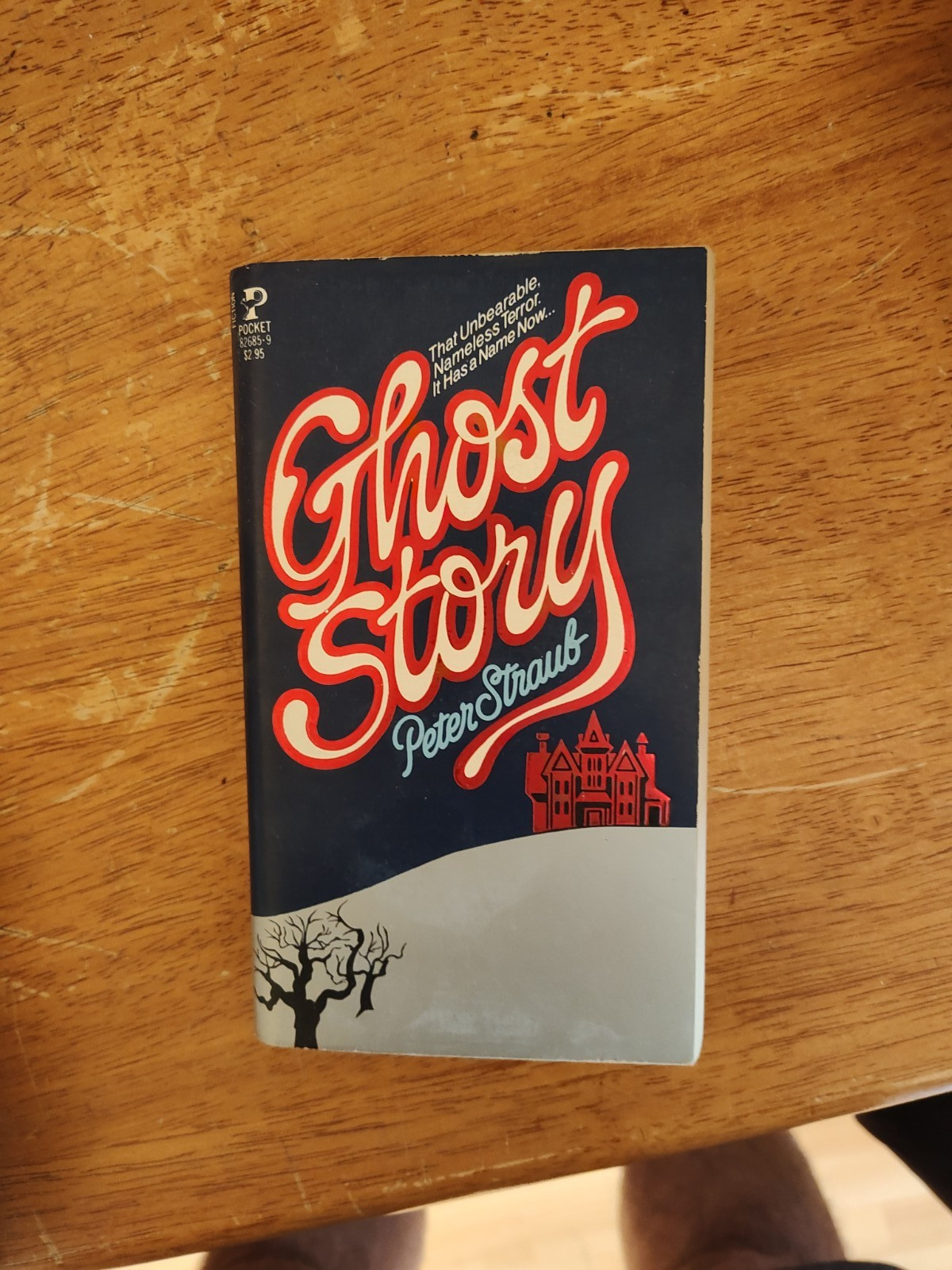 Peter Straub Ghost Story Paperback Novel Pocket Books Horror Fiction Adults