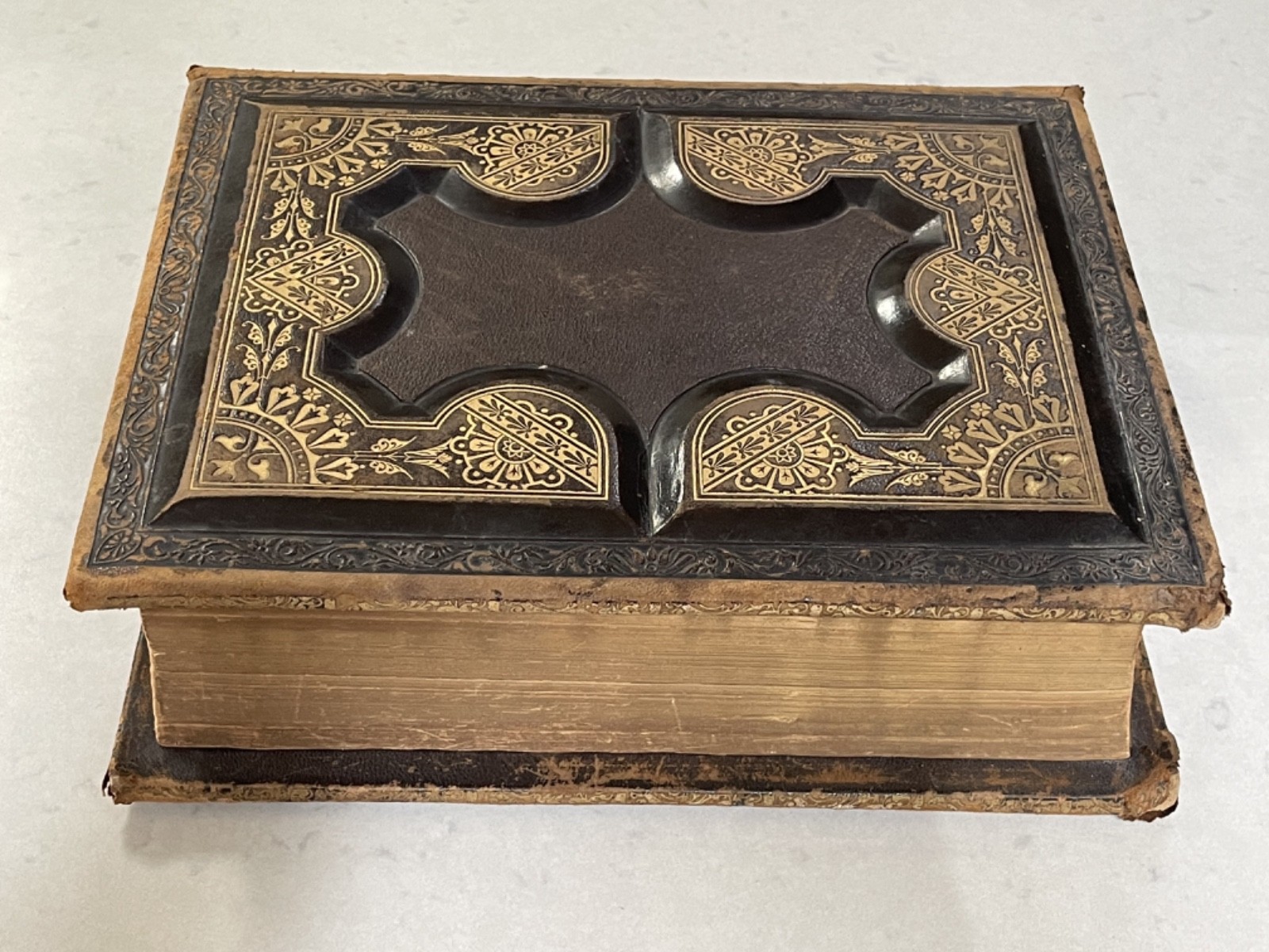 HOLY BIBLE CONTAINING THE OLD AND NEW TESTAMENTS 1880 A. J. Holman & Co.