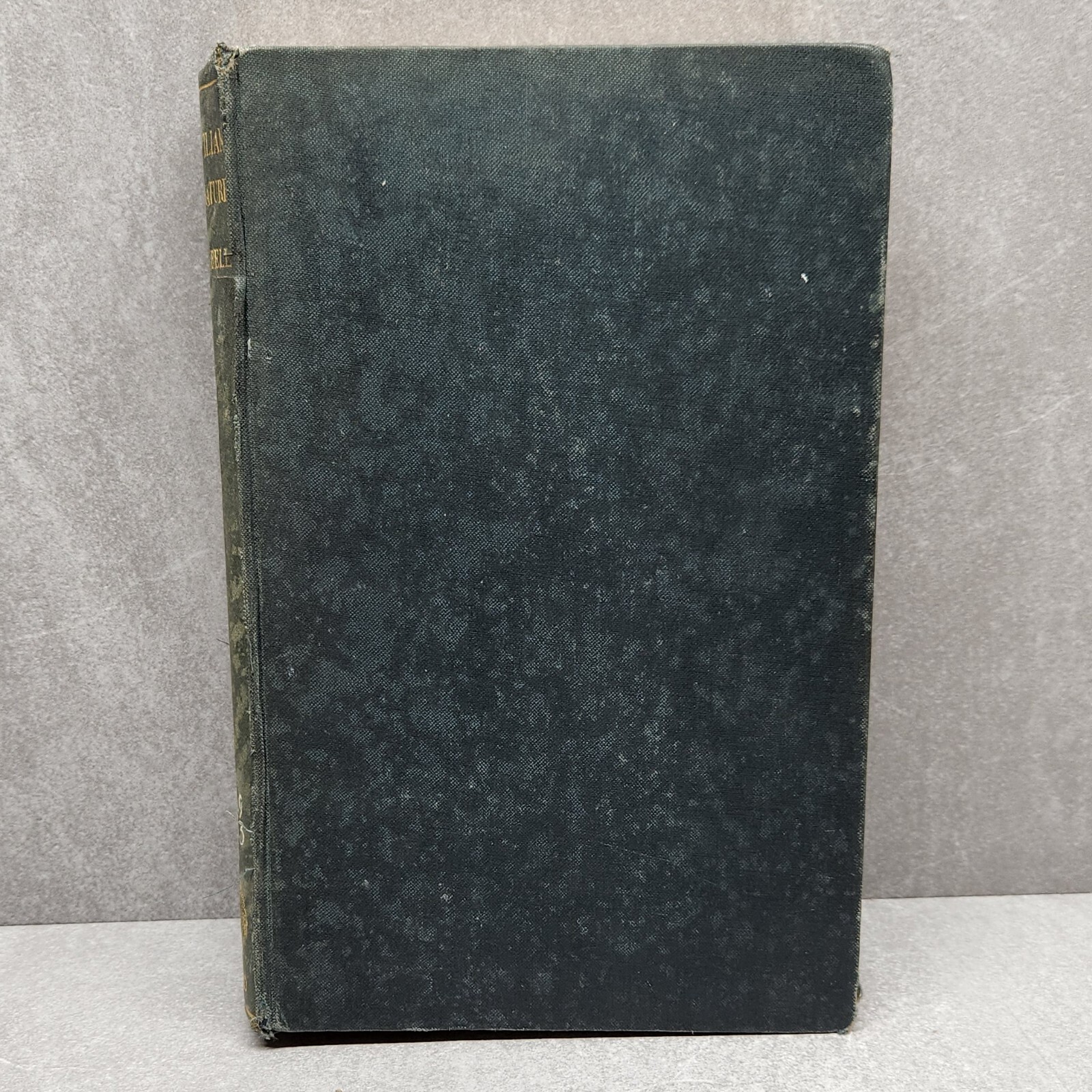 1938 Castilian Literature by Aubrey F.G. Bell Spanish Cultural & Literary Study