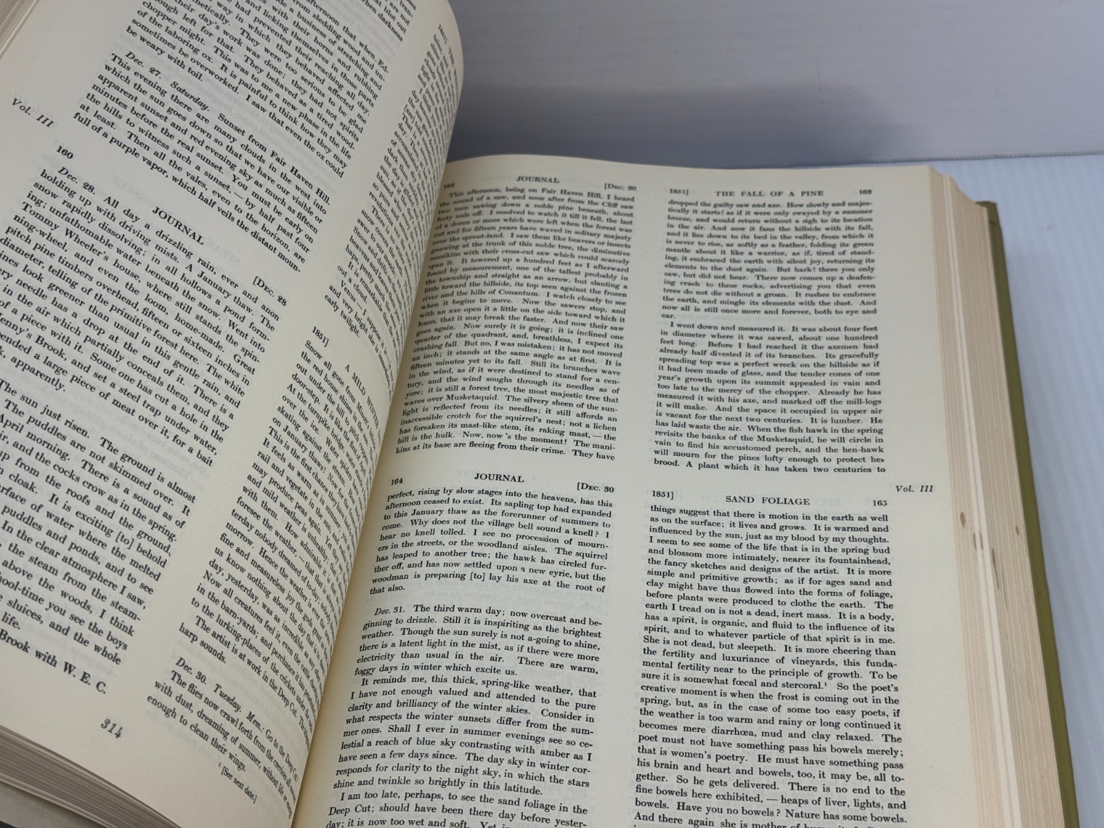 The Journals of Henry D. Thoreau in 14 Volumes Bound as Two (Dover HC set, 1962)
