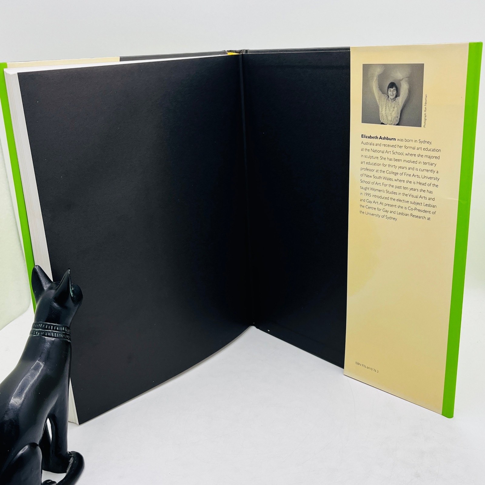 Lesbian Art: An Encounter with Power – Elizabeth Ashburn 1996 1st Edition HB DJ