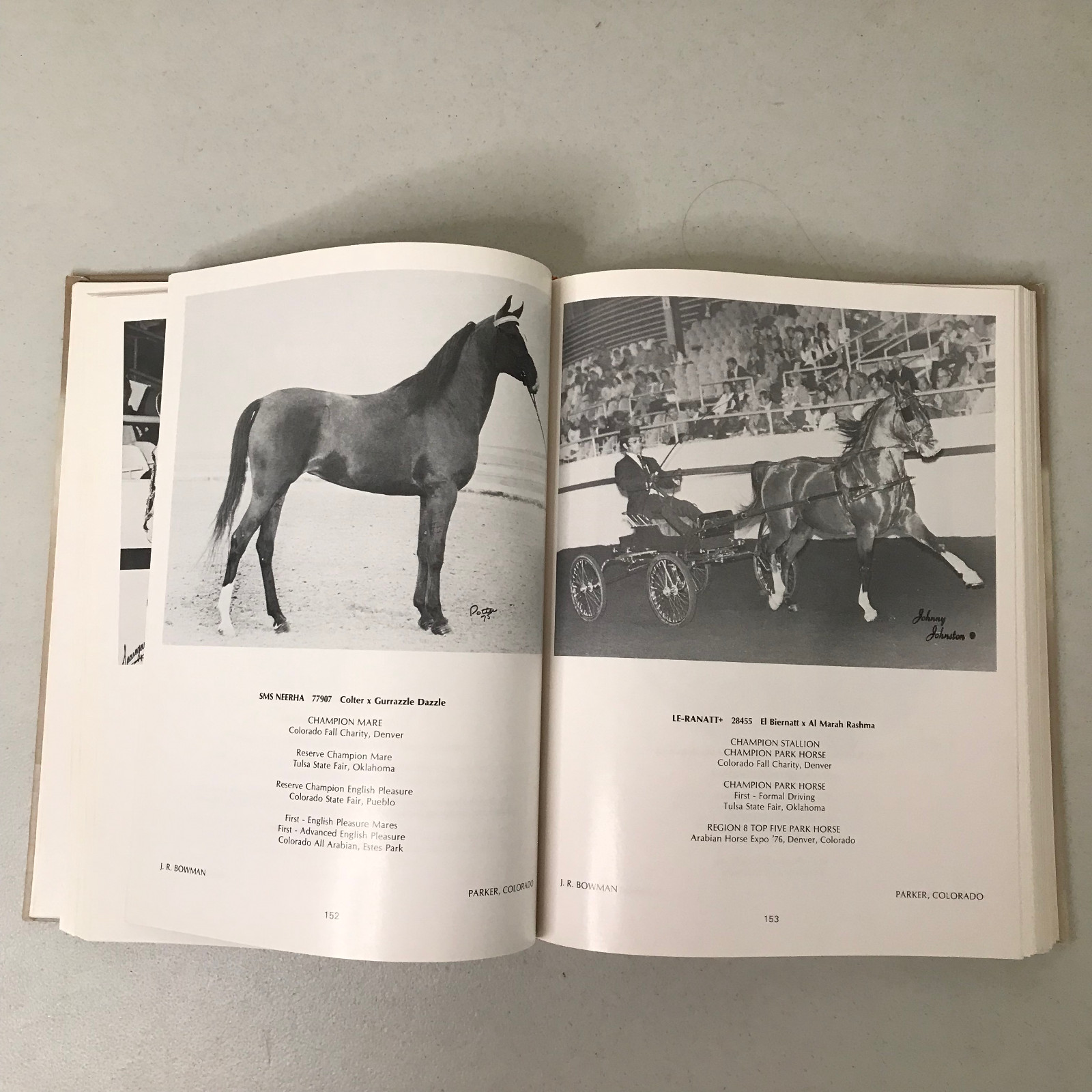 Arabian Horse Yearbook 1976 – Arabian Horse Association – HC