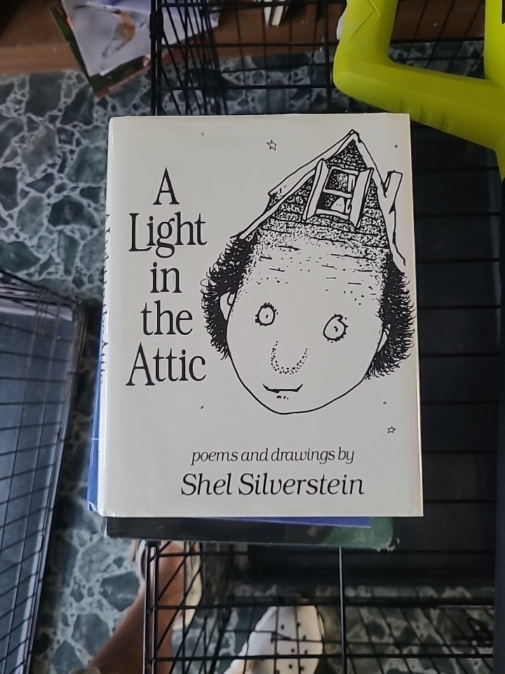 A Light In The Attic by Shel Silverstein First Edition 1981 Hard Cover And DJ