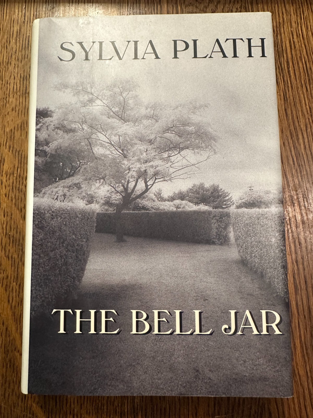 The Bell Jar – Sylvia Plath 1993 HARDCOVER/DUST JACKET NEAR FINE BOMC LITERATURE