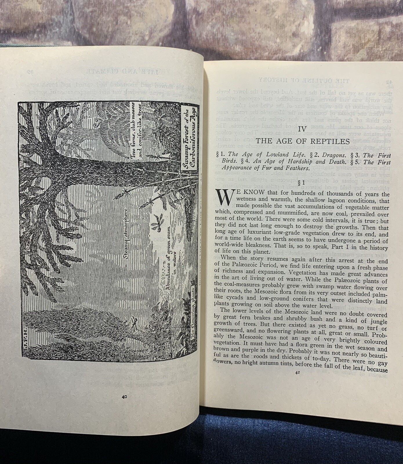The Outline of History H.G. Wells 1949 Garden City HC Vintage History Book