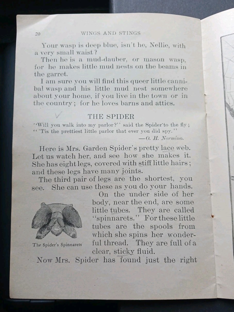 1906 JEAN HALIFAX Wings and Stings dragonfly spider bee teacher manual science