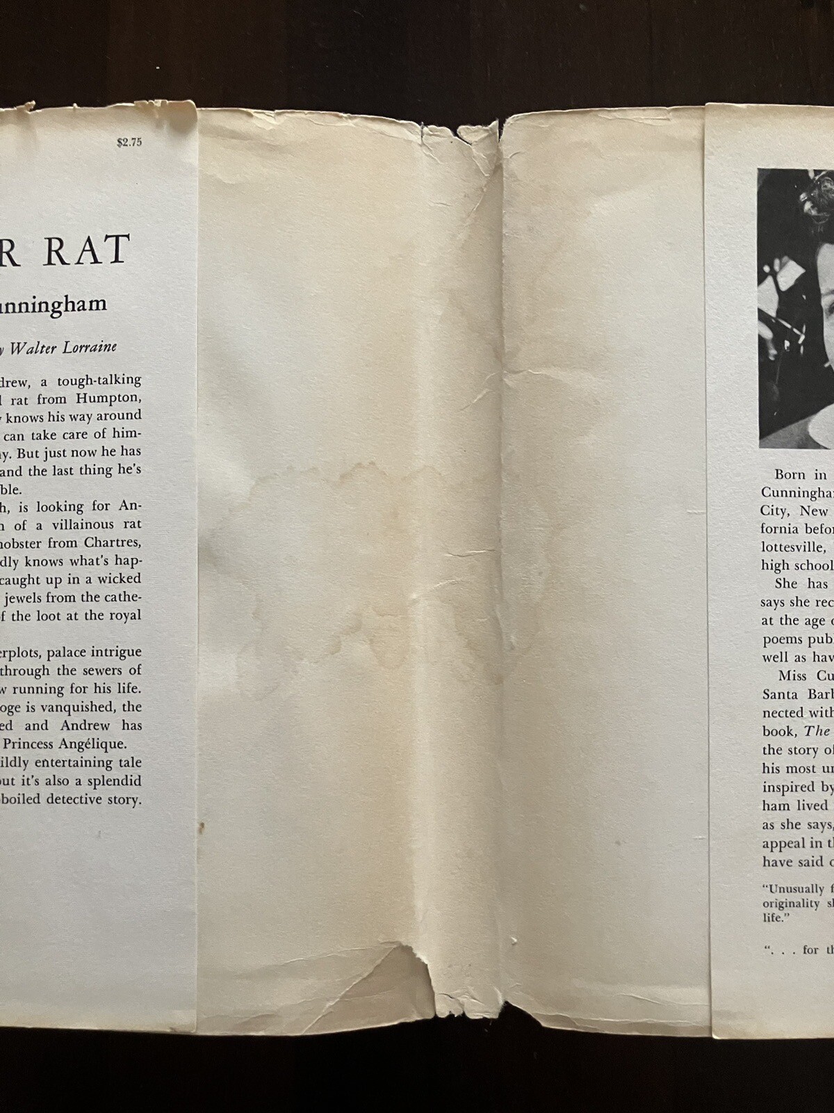 Julia Cunningham/Dear Rat/HBDJ/First Edition/1961/Walter Lorraine