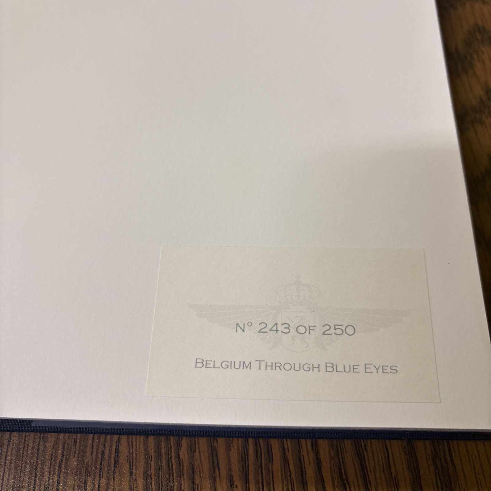 Daniel Brackx – Belgium Through Blue Eyes Numbered 1st Ed Belgian Air Component
