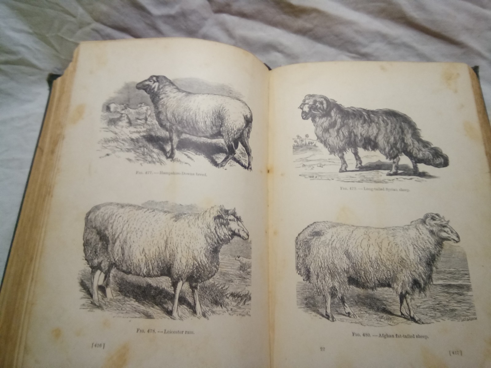 Farmers encyclopedia-illustrated-1899