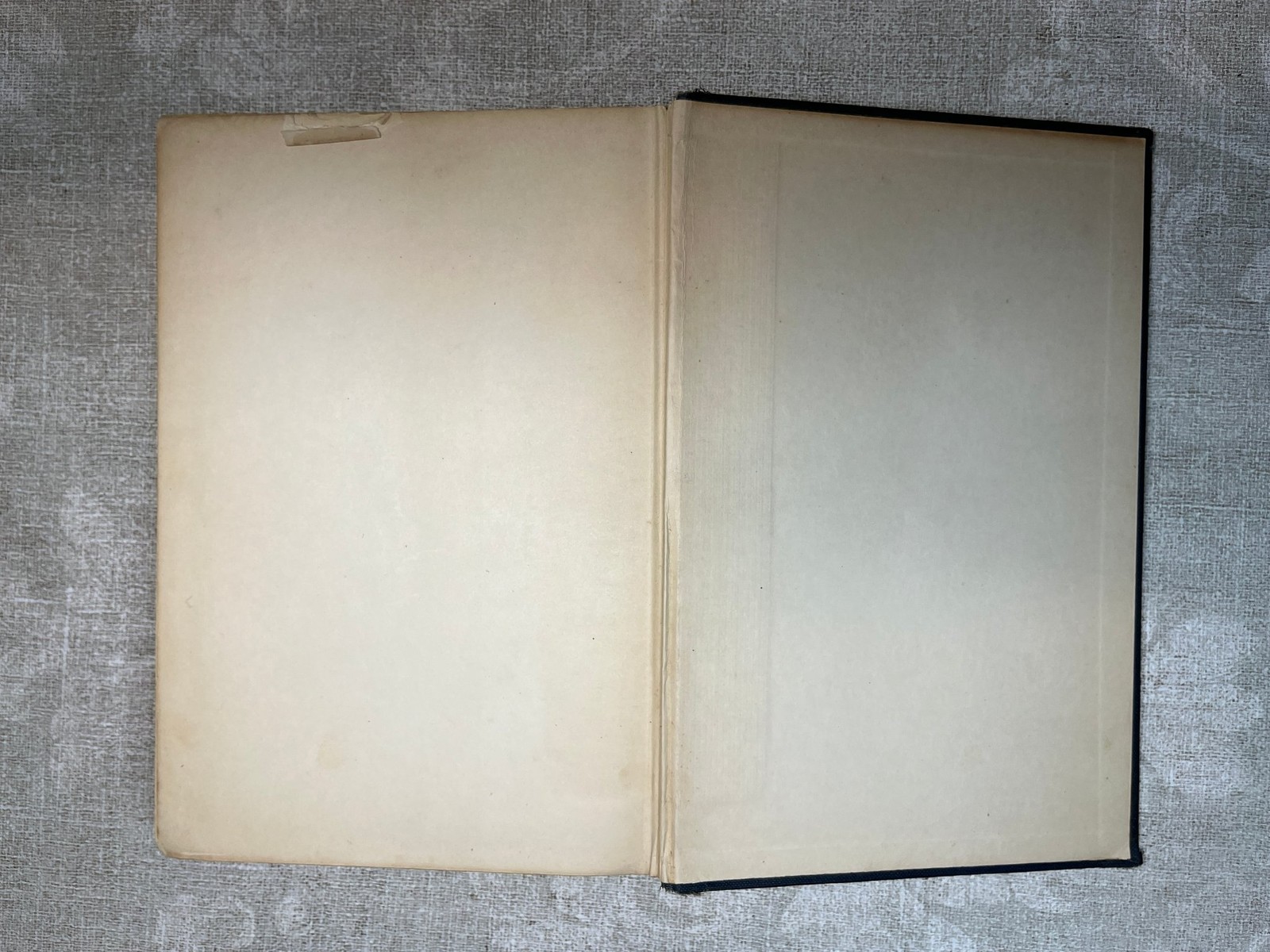 1923 The Water Babies by Charles Kingsley Hardcover Houghton Mifflin Company