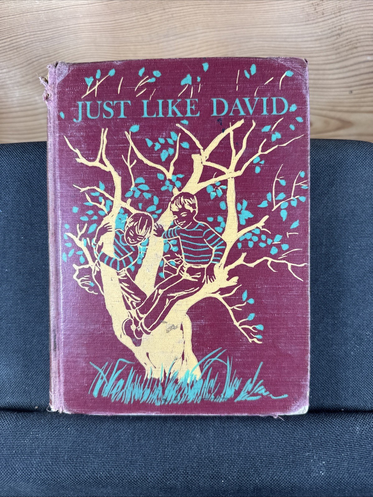 Just Like David by Marguerite de Angeli (1951 Hardcover, First Edition, ex-lib)