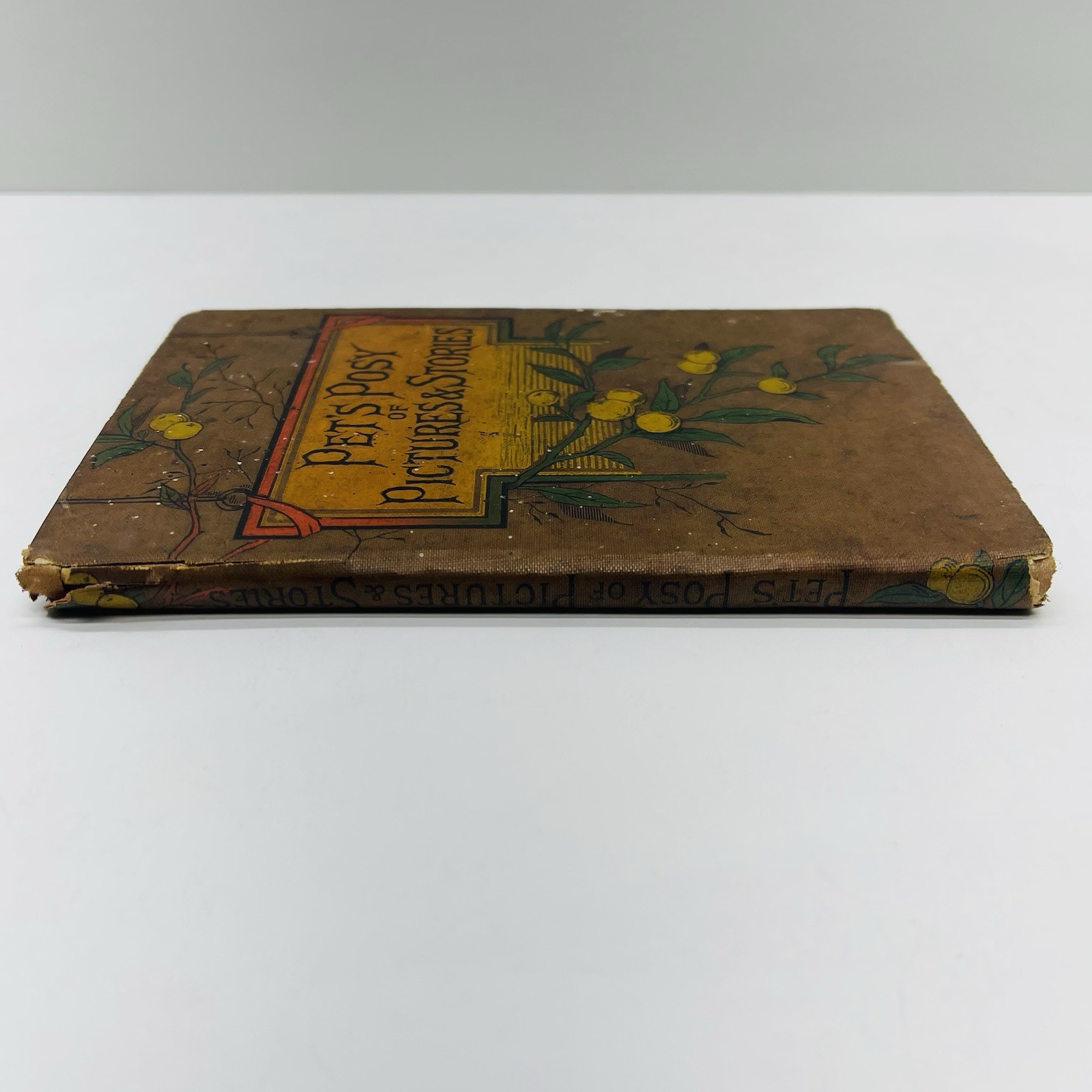 Pet’s Posy of Pictures & Stories 1800’s Antique Victorian Children’s Book HC