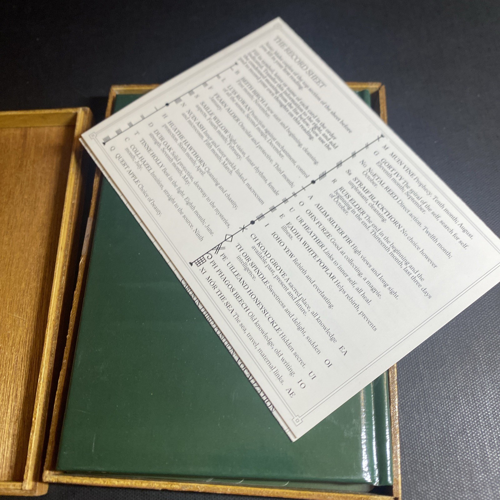 Celtic Tree Oracle, System of Divination Wooden Box Set – Liz Murray / FHB
