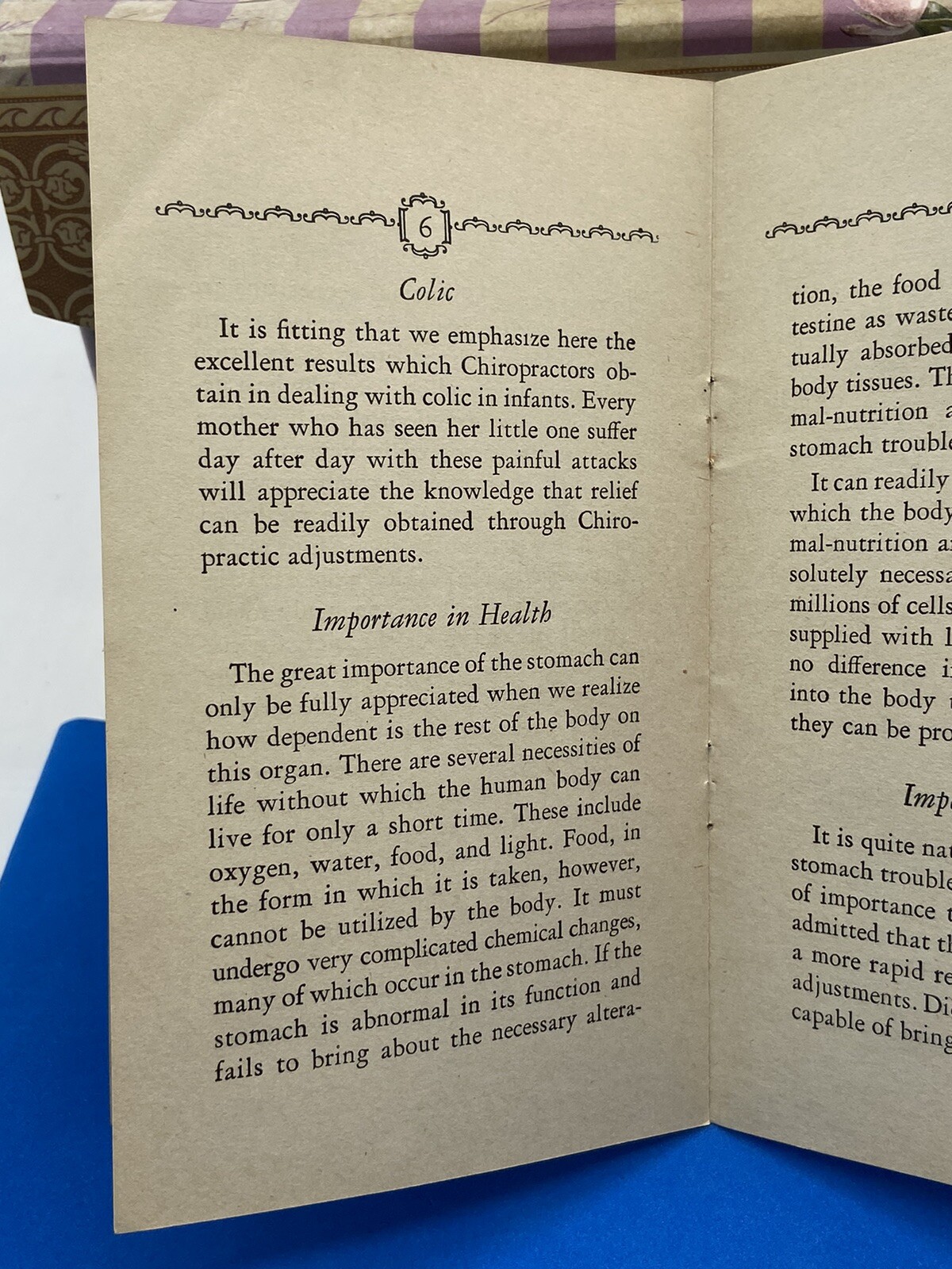 Vintage Chiropractic Pamphlet Dr Netzer Stomach Trouble Monett Cape Girardeau MO
