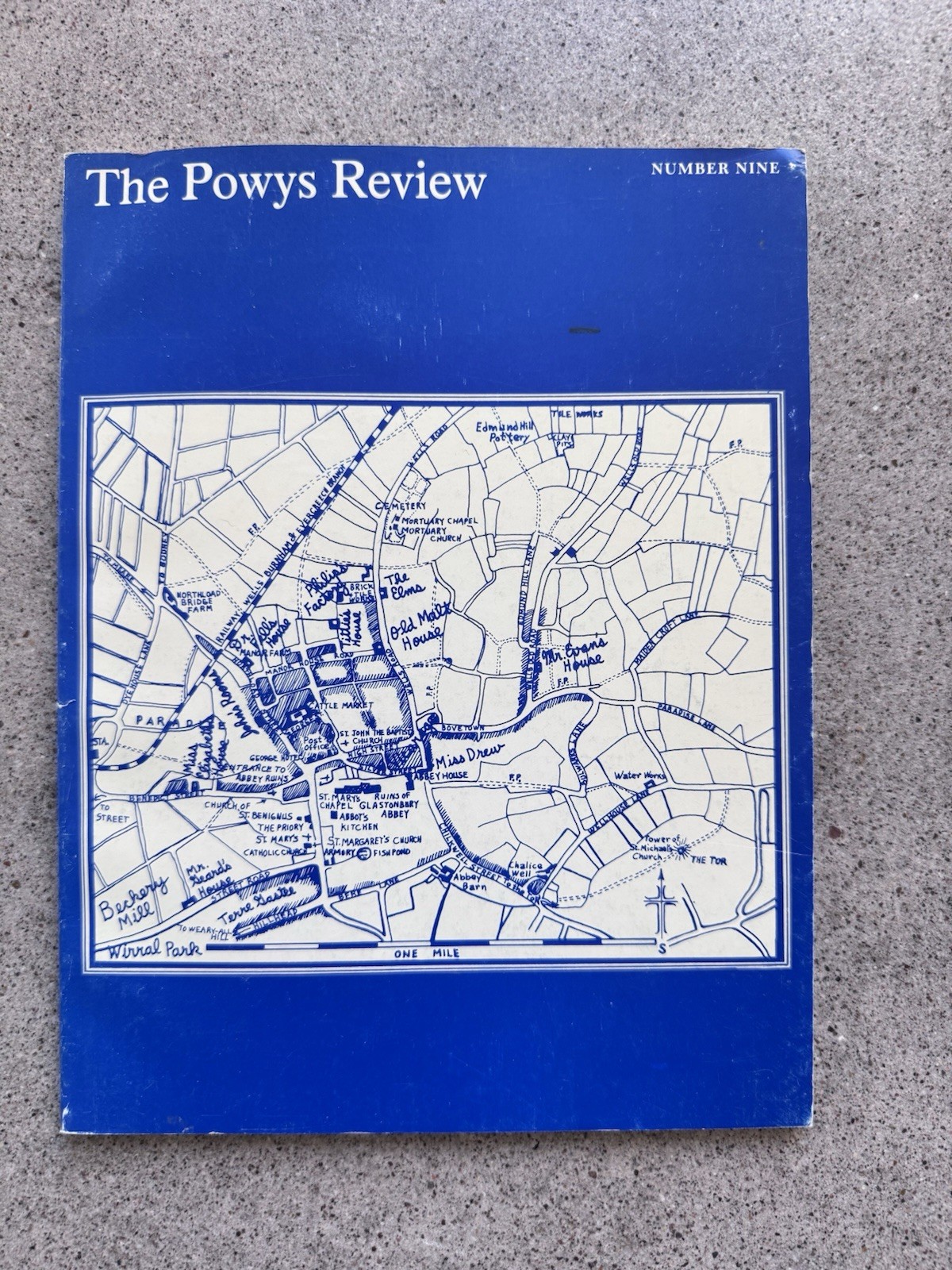 Powys Review Number Nine 1981/82 Glastonbury Romance Essays