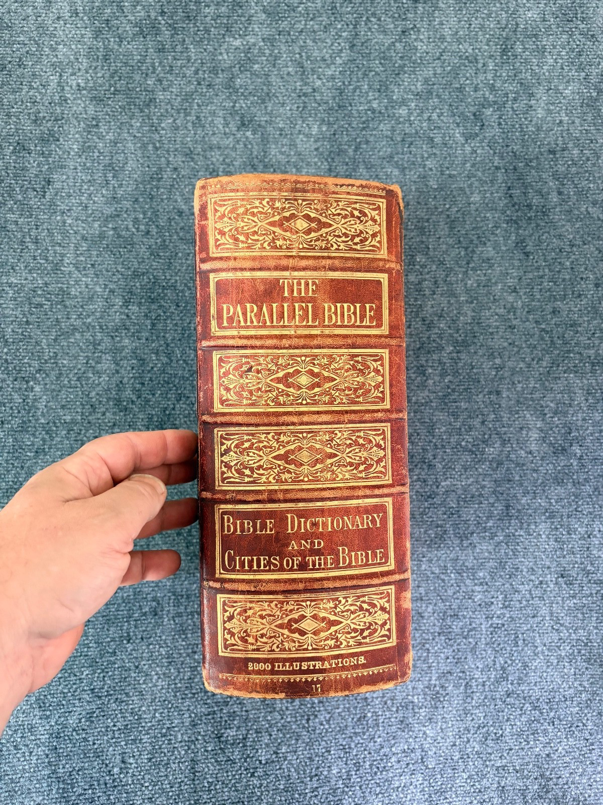 PICTORIAL BIBLE,PARALLEL,OLD & NEW TESTAMENT,COMPLETE CONCORDANCE 1885 Illust