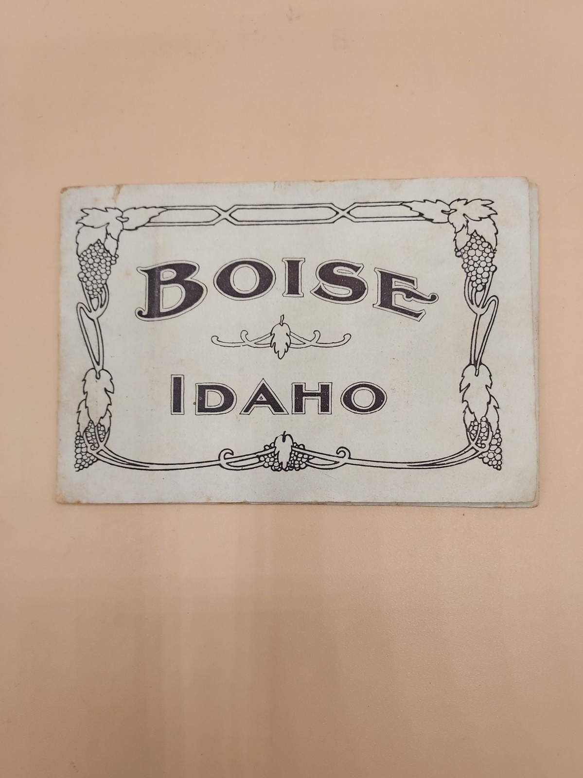 Boise Idaho / 1907