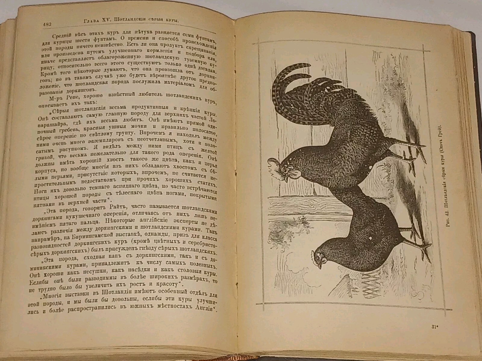 1895 ???????????? ?????? ???? ? ??????? ?????????? Antique book in Russian