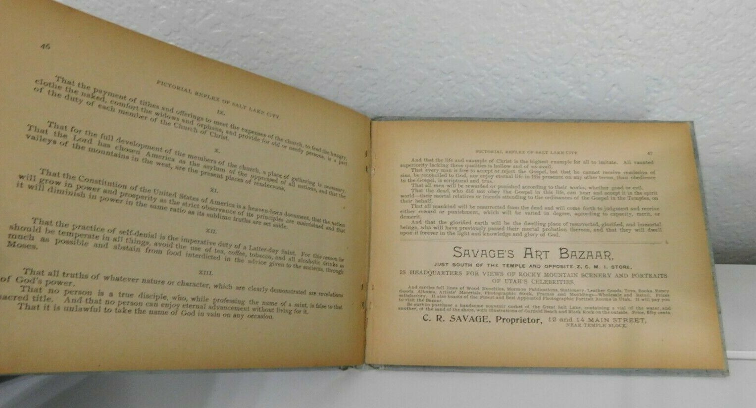 A REFLEX of SALT LAKE CITY and VICINITY by C R Savage HB Utah 1900’s Art Bazar