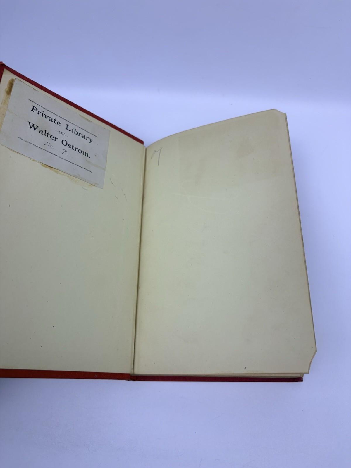 Green Pastures And Paccadilly William Black John W. Lovell Company NY Hardcover