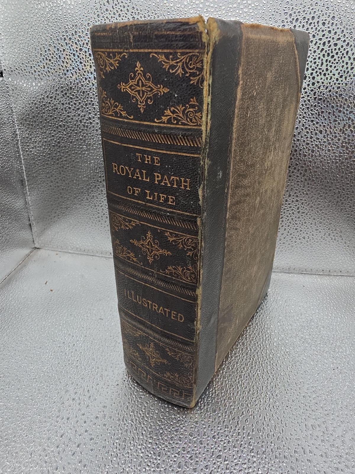 The Royal Path of Life: Or Aims & Aids to Success & Happiness 1882