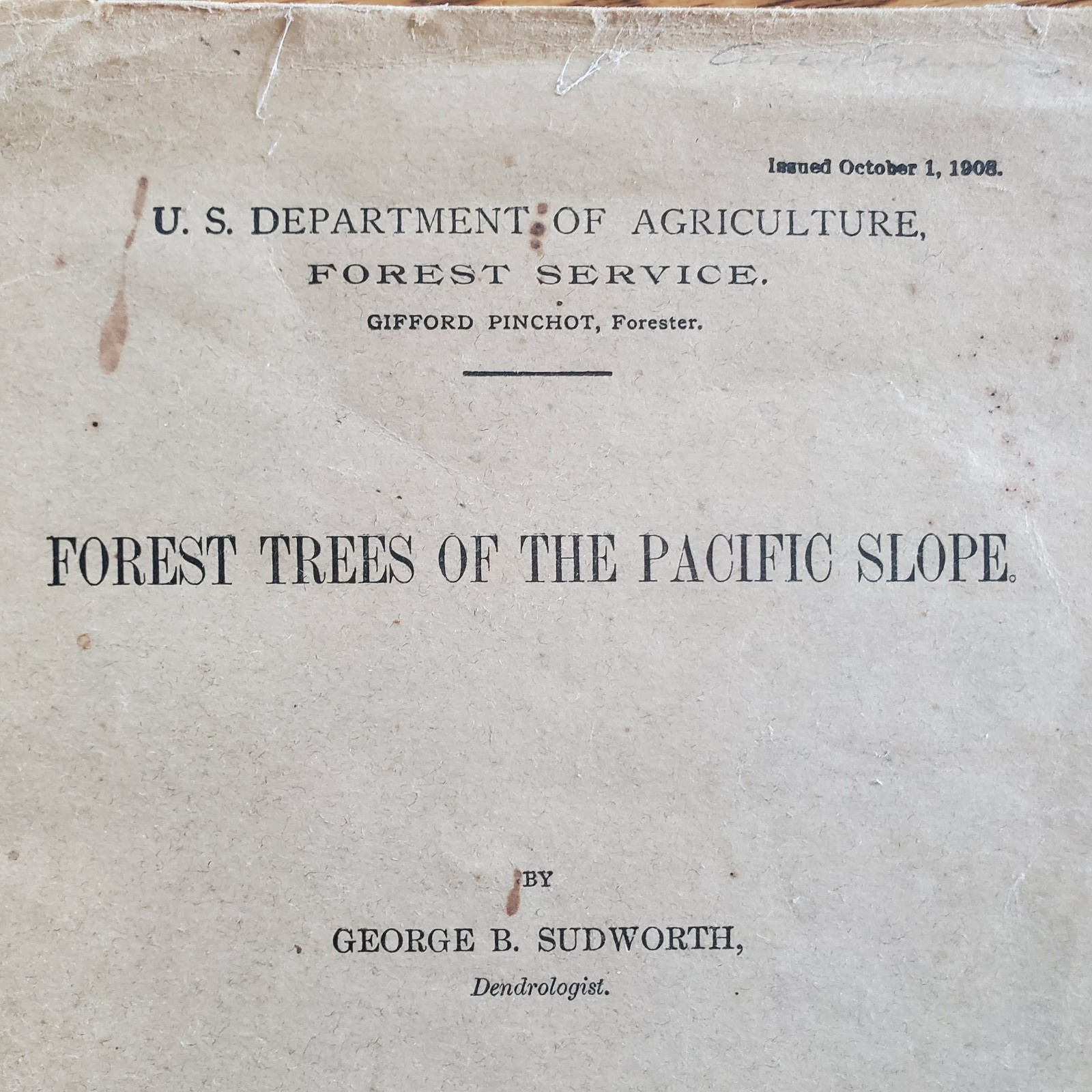 Forest Trees of the Pacific Slope by George H. Sudworth – 1908, paperback, used